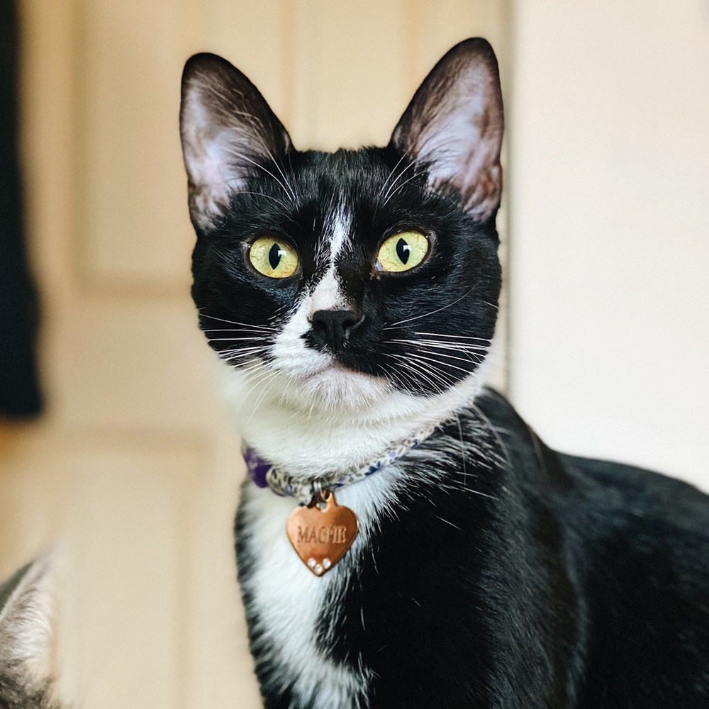 Meet your Posher, Kait